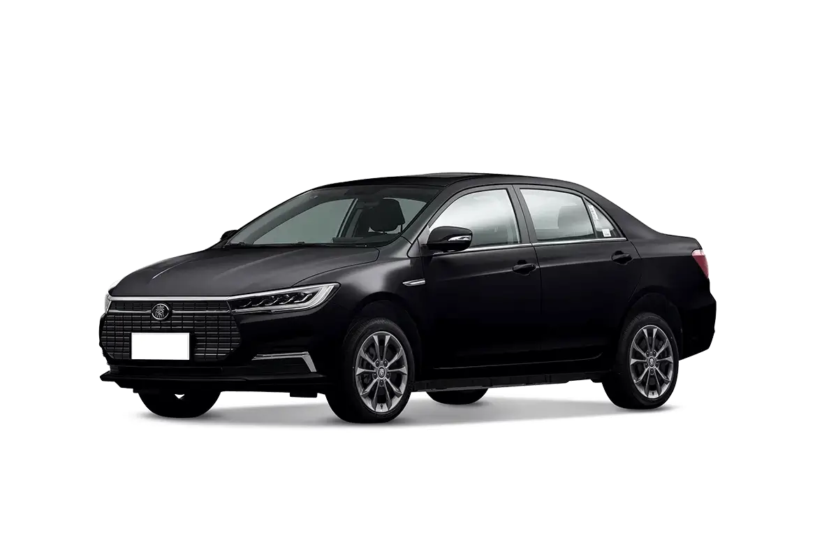 BYD Qin New Energy-black